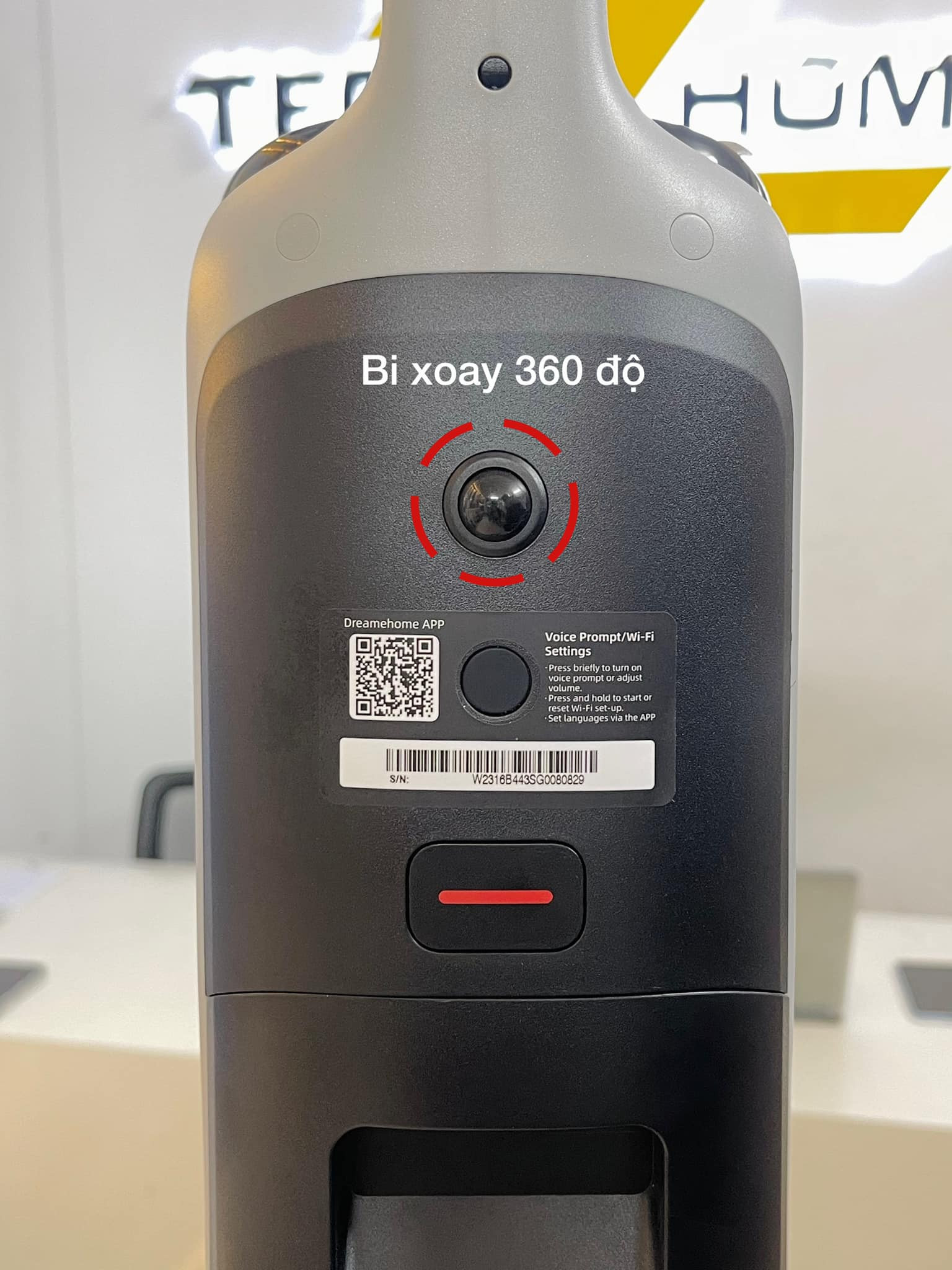 Bi xoay 180 độ